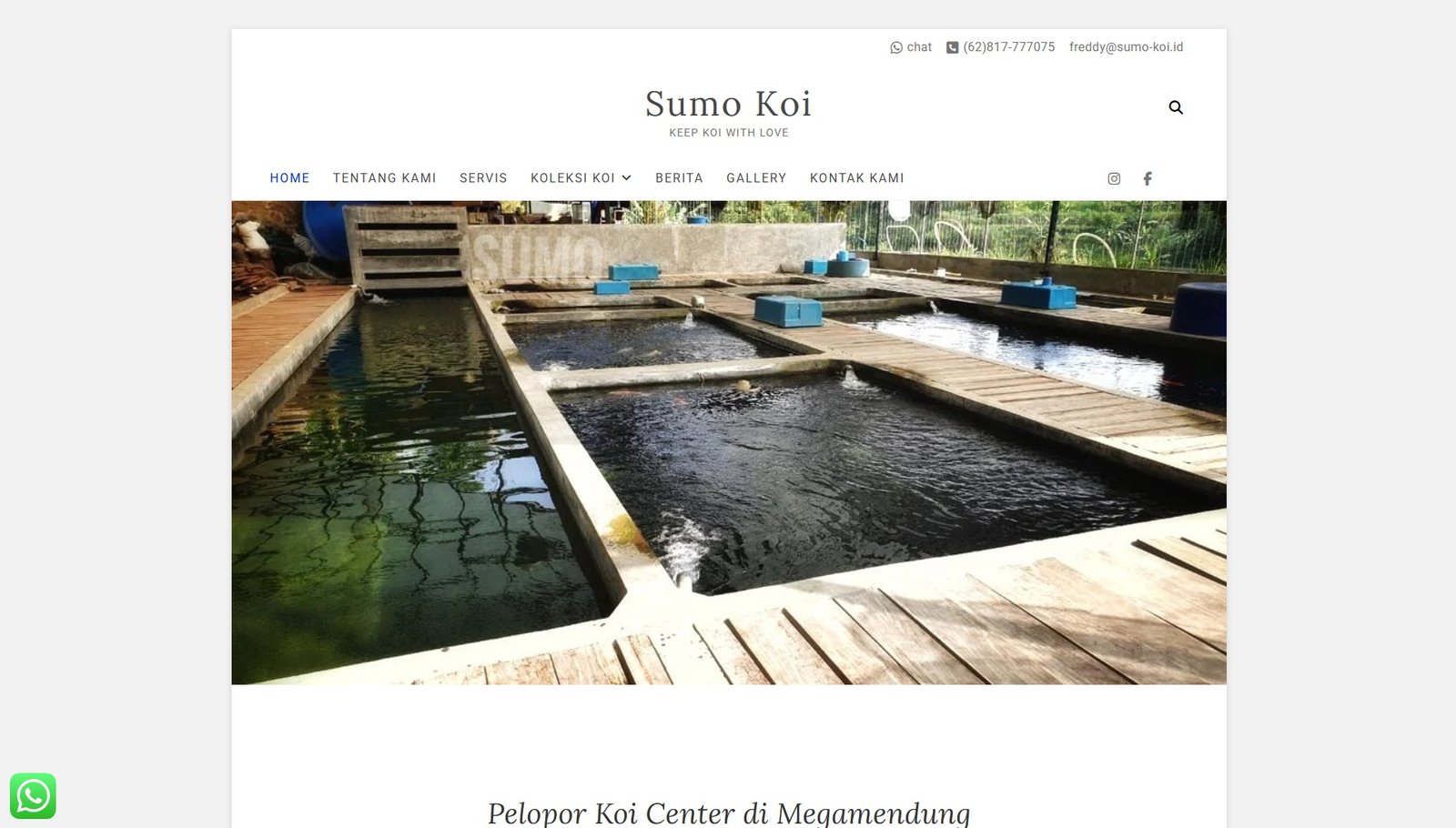 Sumo Koi